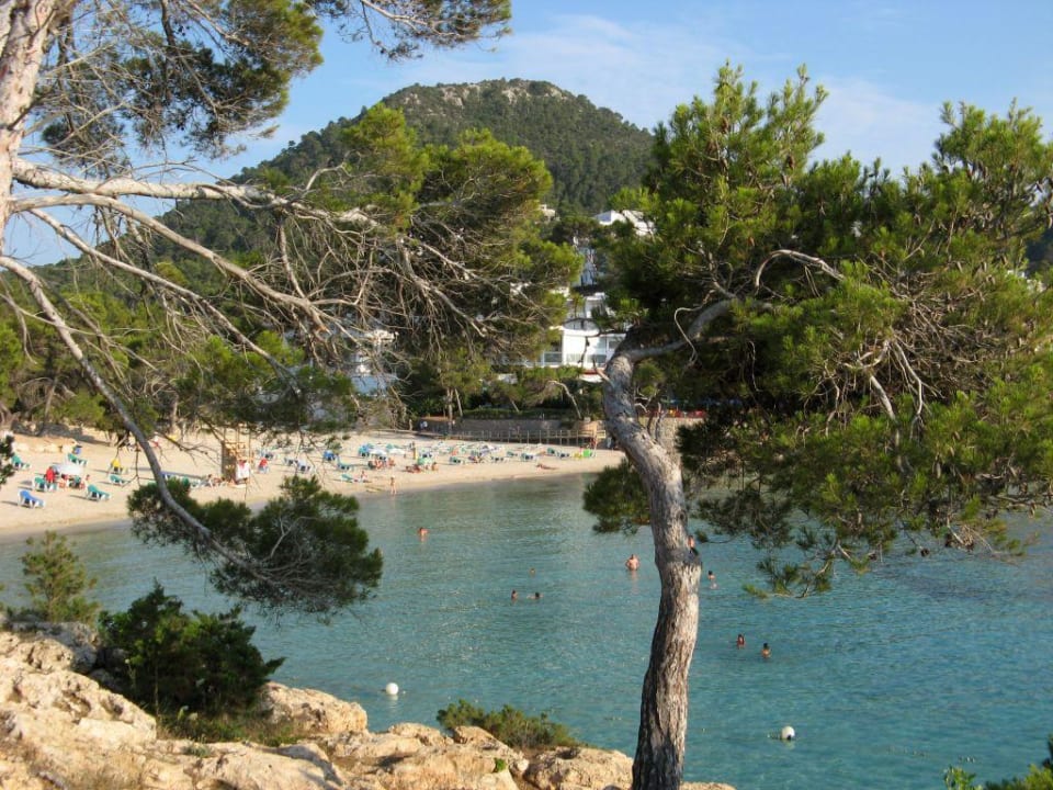 Bucht von Portinatx Sandos El Greco Beach Hotel 16+