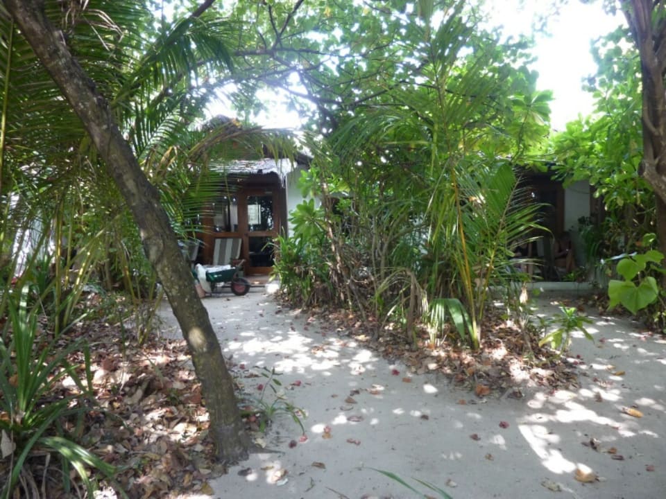 Reethi Villa Ostseite Reethi Beach Resort