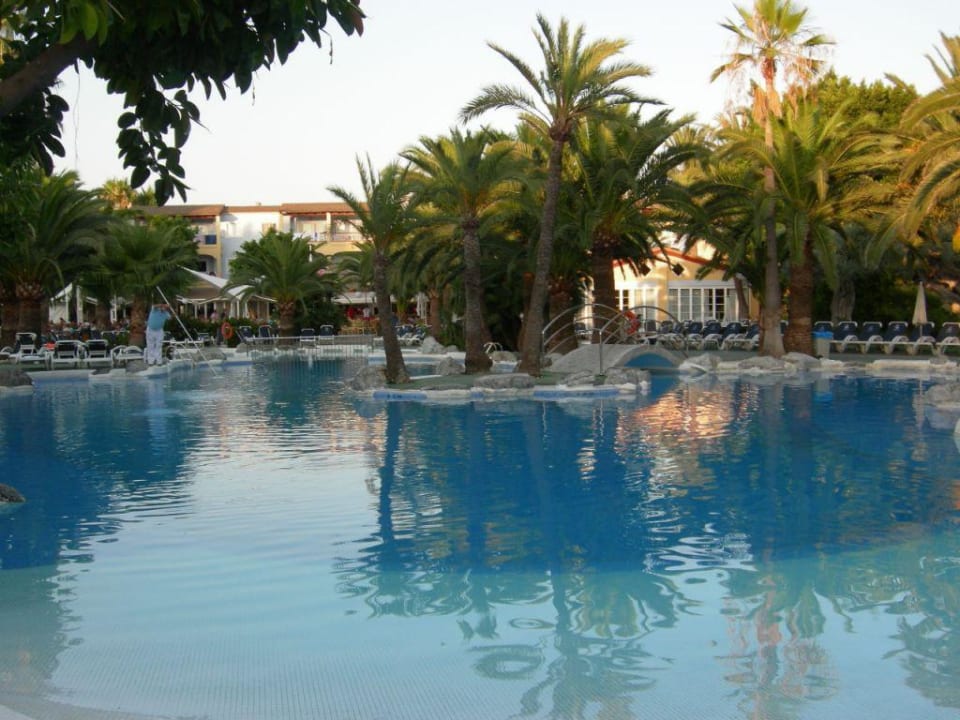 Pool Alcudia Garden Aparthotel