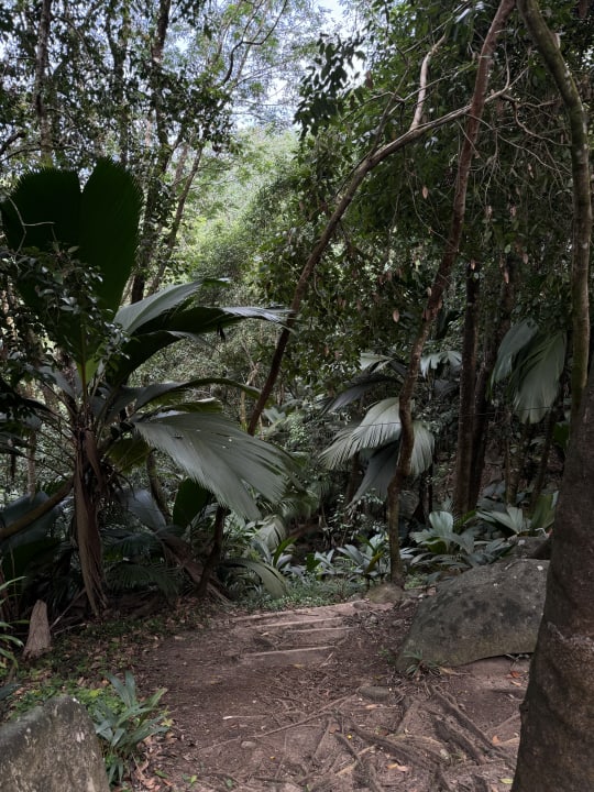 Gartenanlage Constance Ephelia