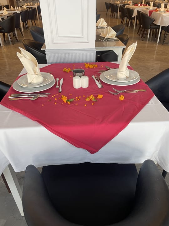 Ausblick Pickalbatros Palace Hotel-Port Ghalib