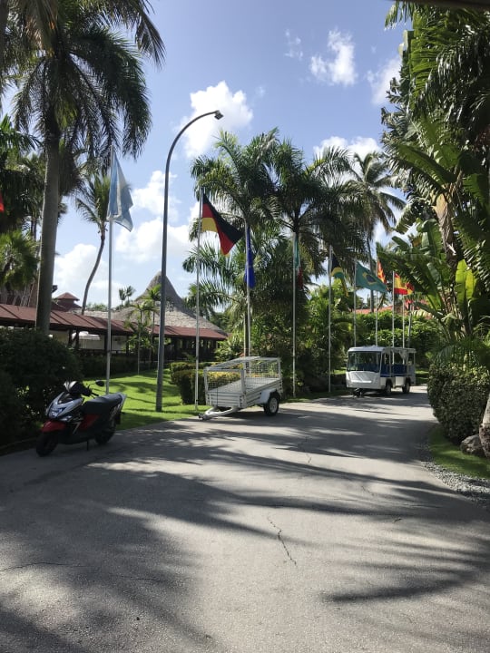 Gartenanlage Hotel Grand Palladium Palace Resort, Spa & Casino