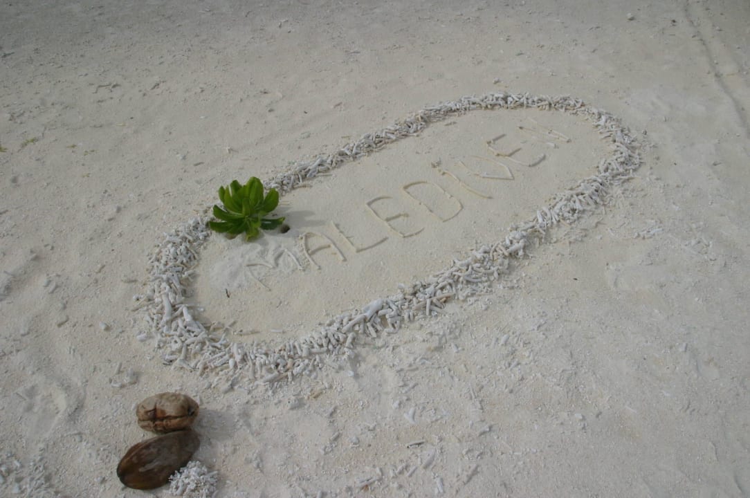 Eine tolle Strand Darstellung  Villa Park Sun Island
