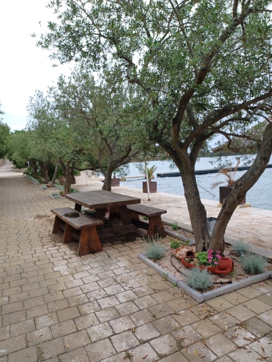 Gartenanlage Olivia Green Camping