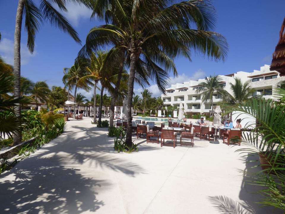 Pool Akumal Bay Beach & Wellness Resort