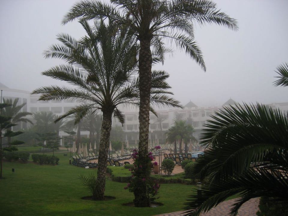 morgendlicher Küstennebel Iberostar Waves Founty Beach