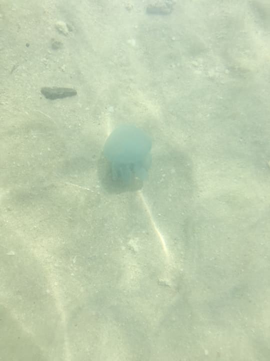 Strand Rixos Bab Al Bahr