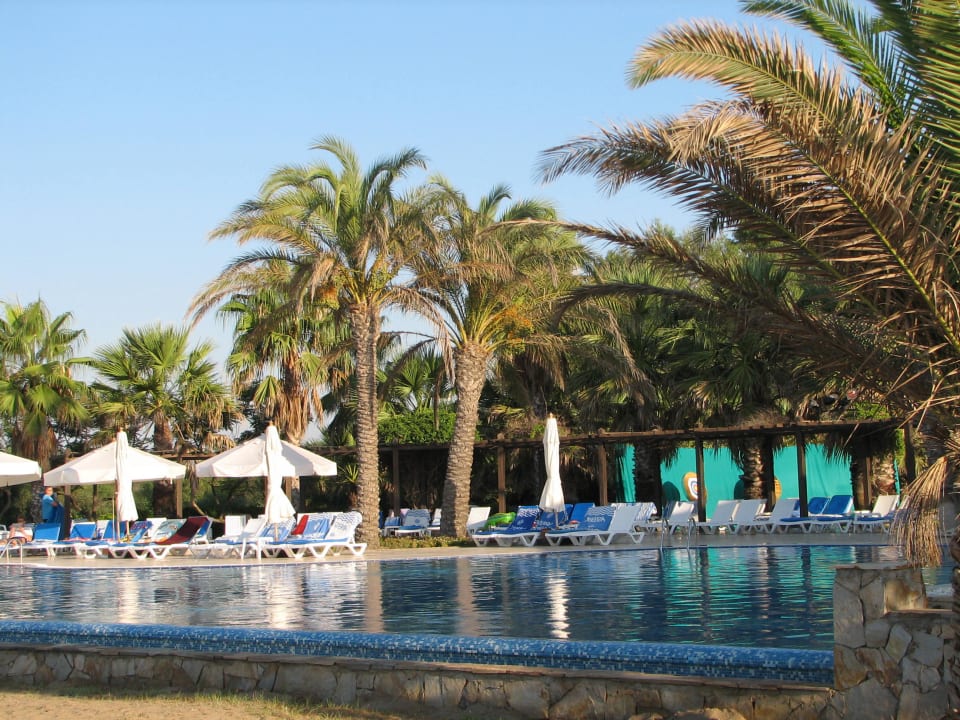 Morgenstimmung am Strandpool TUI Magic Life Belek