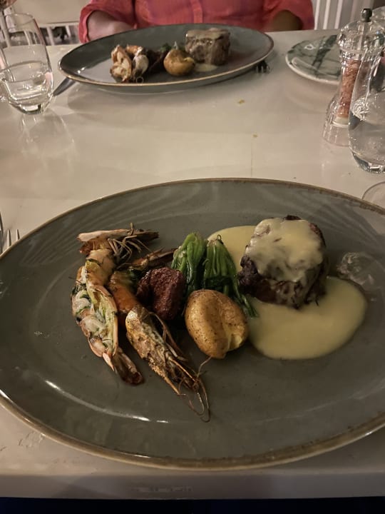 Gastro Acanthus Cennet Barut Collection