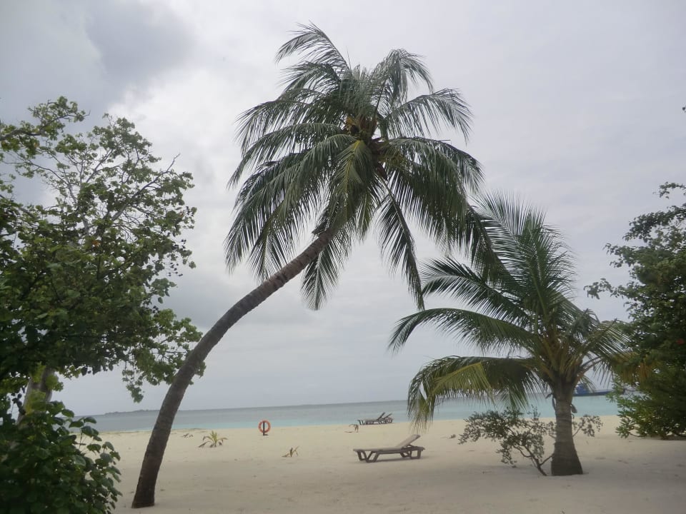 Ausblick jacuzzi beach villa Nr. 214 Kuredu Island Resort & Spa