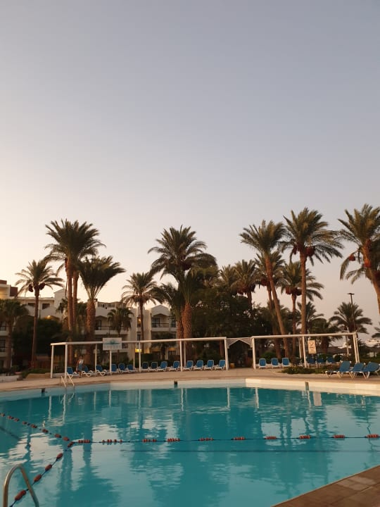 Pool Regina Resort and Aqua Park Hurghada