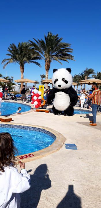 Pool Pickalbatros Royal Moderna Resort-Sharm El Sheikh