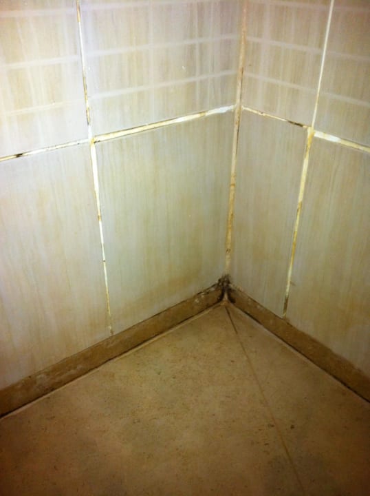 Die Ecke in der Dusche Prima Life Makadi Resort