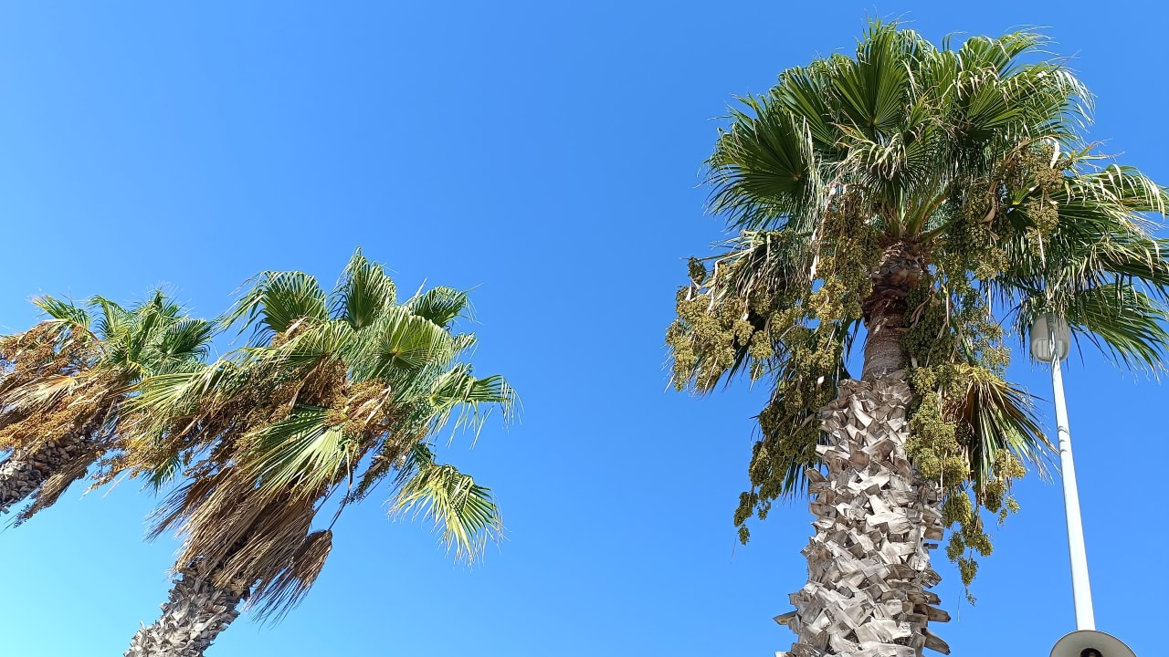 Sonstiges Hotel Indalo Park