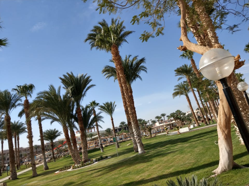 Gartenanlage Beach Albatros Resort