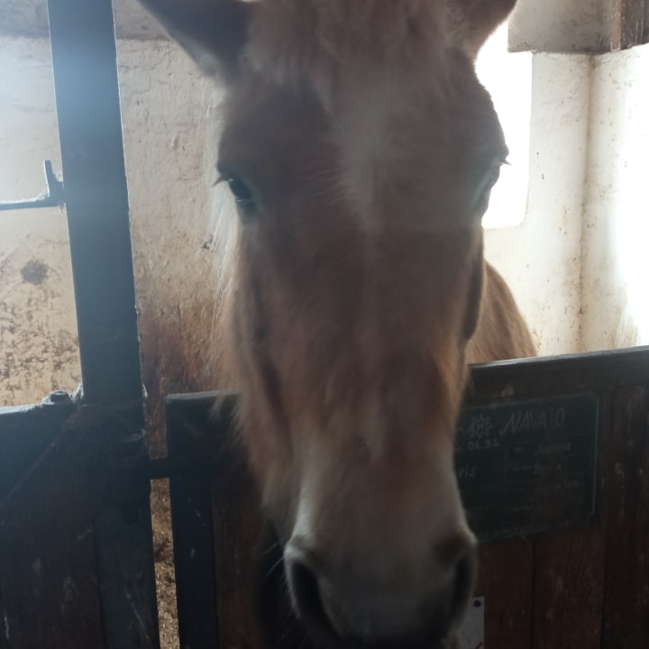 Sonstiges Hotel Reiterhof Altmühlsee