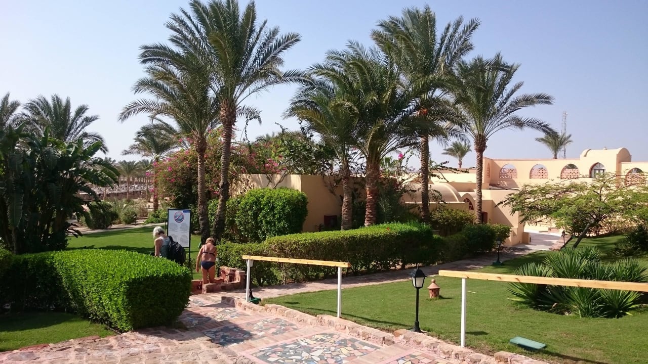 Blick vom Strand Steigenberger Coraya Beach - Adults only