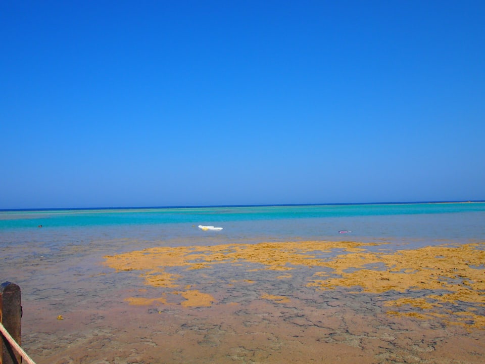 Meer vom Steg Stella Beach Resort & Spa Makadi Bay