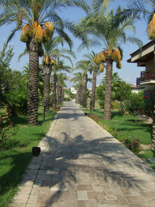 Garten TUI BLUE Palm Garden