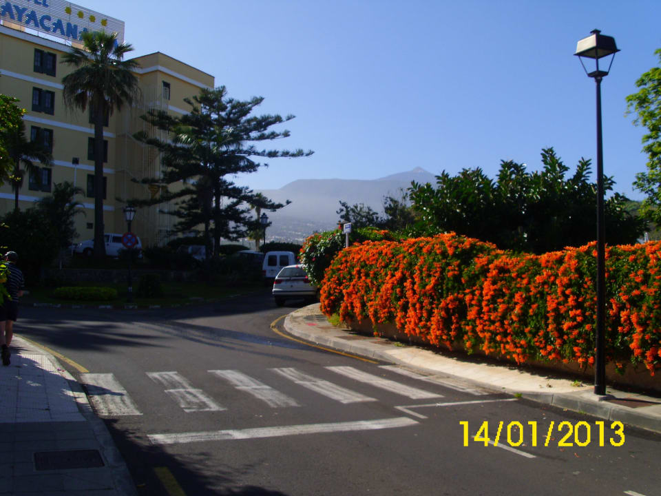 Strassenauffahrt vor dem Hotel BLUESEA Costa Jardin Spa