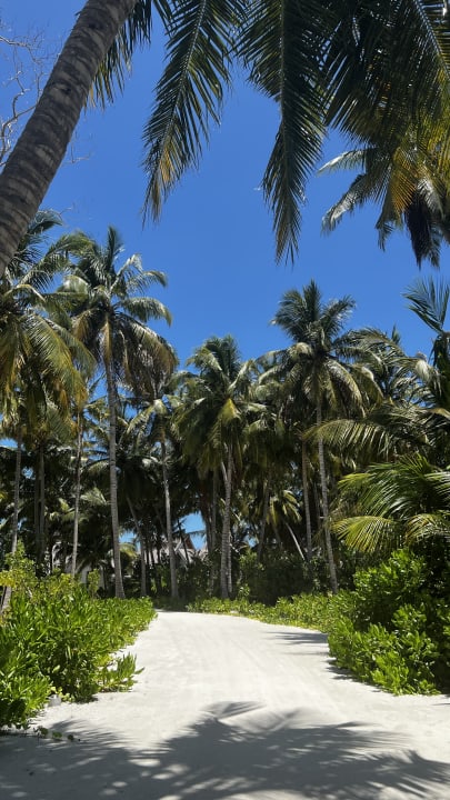 Gartenanlage Madifushi Private Island
