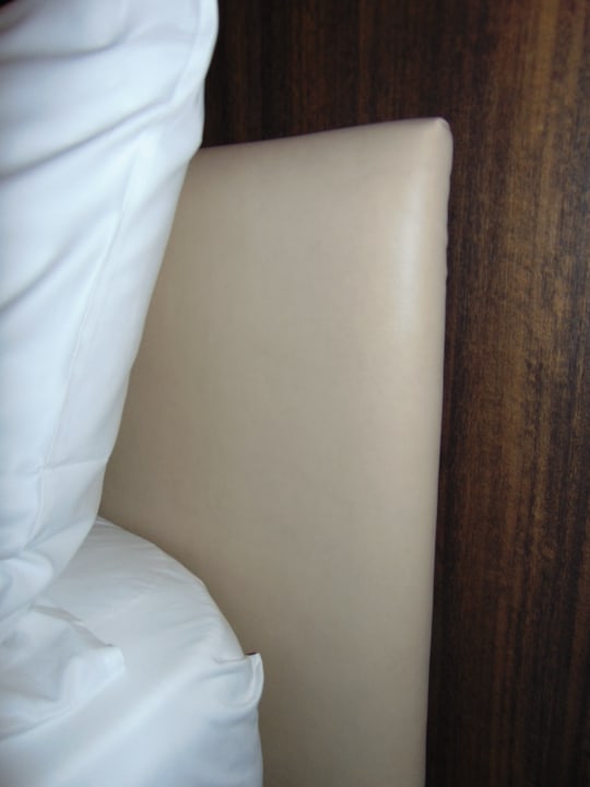 Zimmer Mercure Almaty City Center