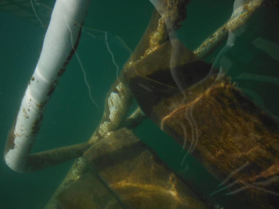Plaża pomost molo Royal Seginus