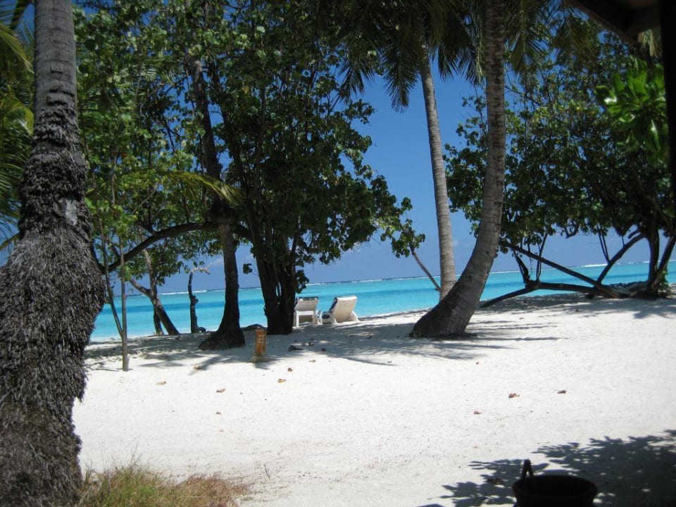 Blick von Bungi 256 auf den Strand Meeru Maldives Resort Island