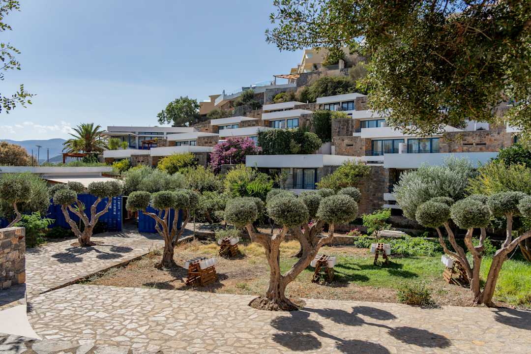 Gartenanlage Ariadne Beach Hotel