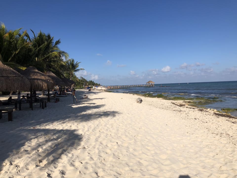 Strand Sandos Caracol Eco Resort & Spa Select Club Adults only - All Inclusive
