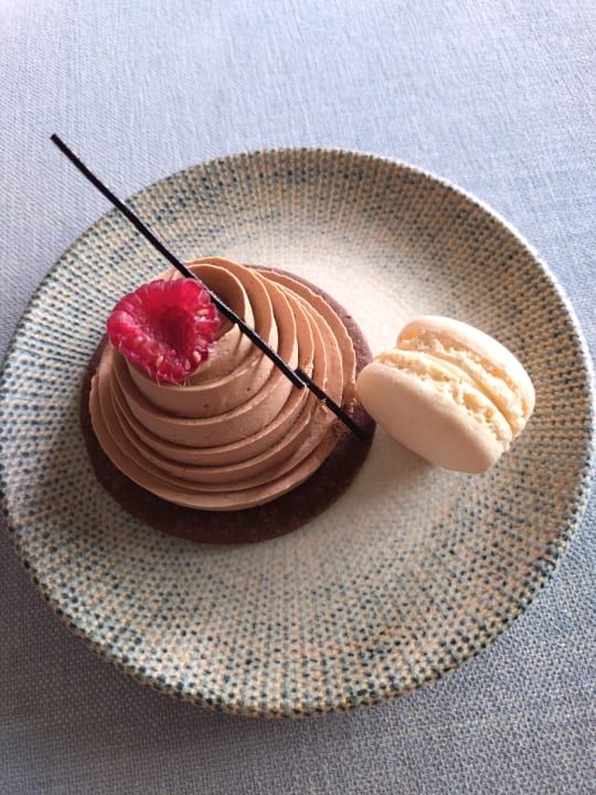 Gastro Lara Barut Collection
