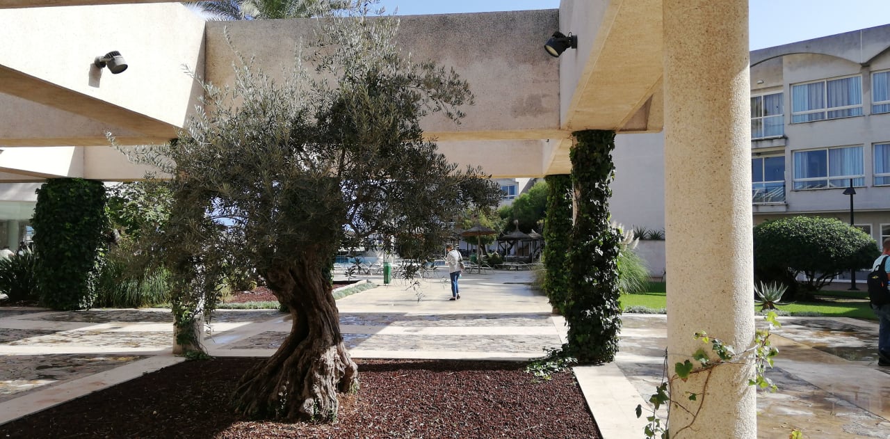 Garten Eix Platja Daurada Apartments & SPA
