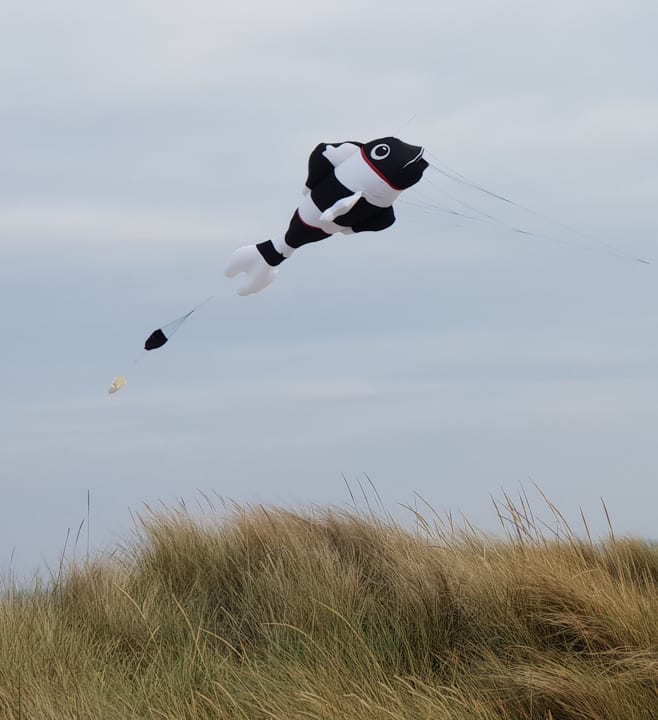 Ausblick Strandhotel Grömitz