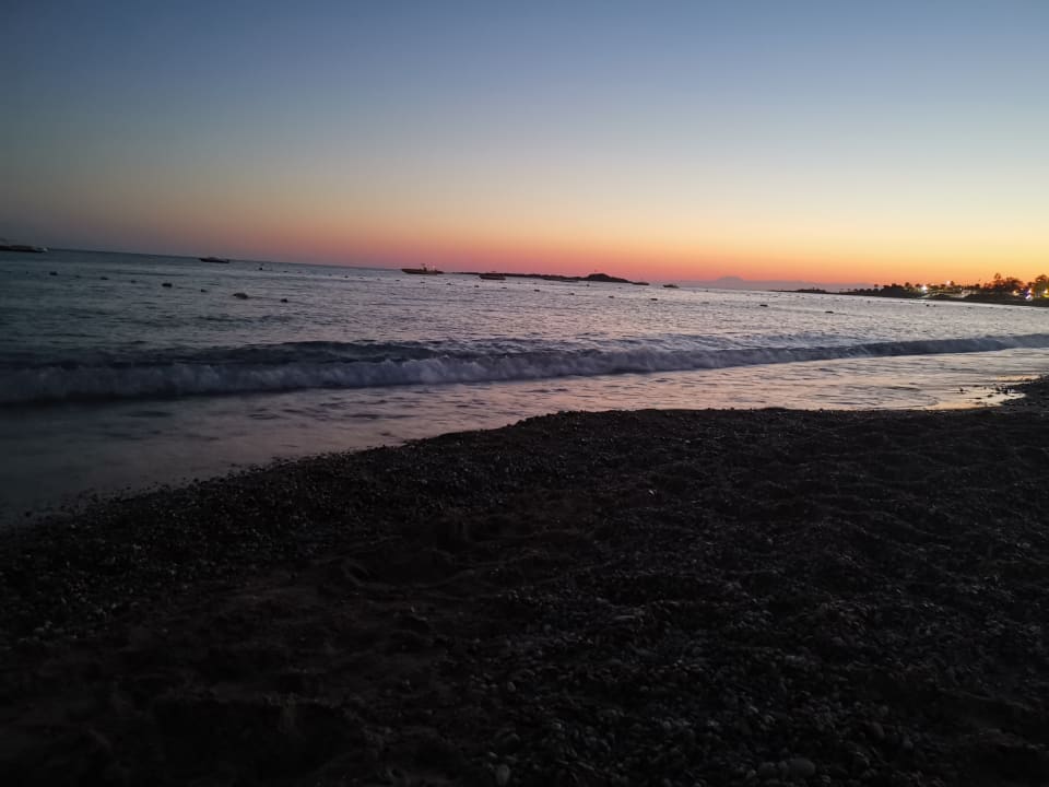 Strand Arycanda Kirman Premium