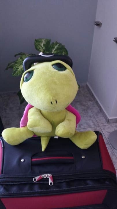 Carreta-Caretta das Maskottchen von Zakynthos ZANTE SUN RESORT & SPA