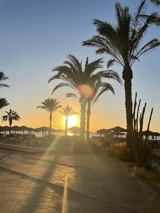 Ausblick Fort Arabesque Resort, Spa & Villas