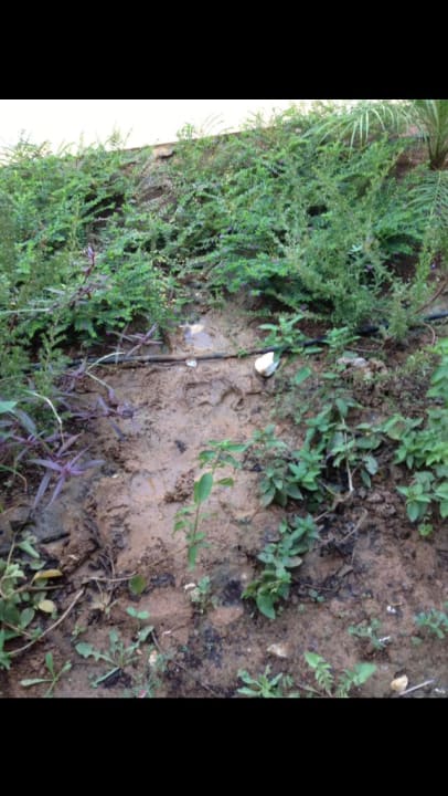 Offene Kabel   Wyndham Garden Lara