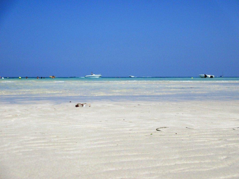 Strand bei Ebbe Iberostar Waves Mehari Djerba