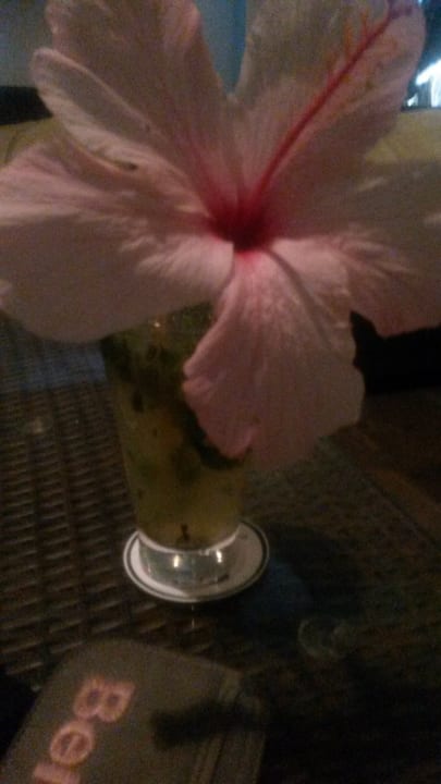 Gastro The Orangers Beach Resort and Bungalows