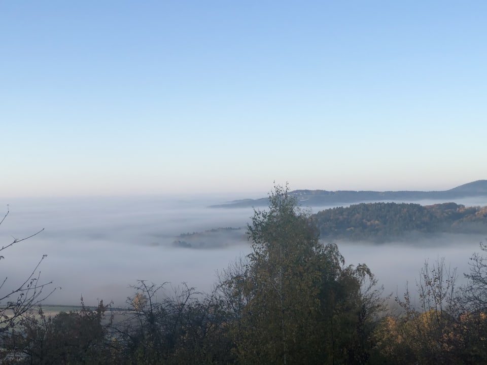 Ausblick Thula Wellnesshotel Bayerischer Wald