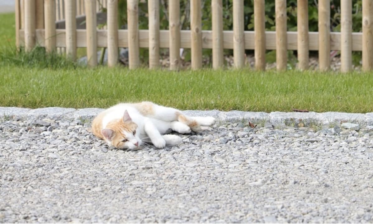 Sonstiges Hofgut Ratzenberg