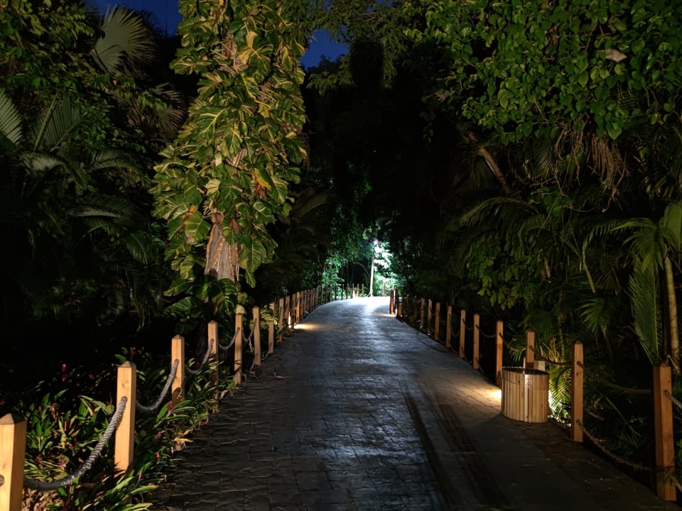 Gartenanlage Grand Bávaro Princess