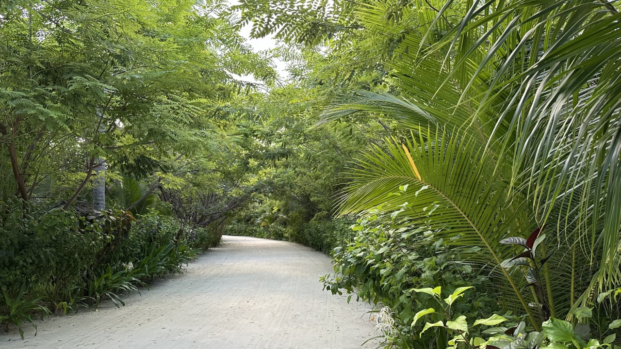 Gartenanlage Sun Siyam Olhuveli