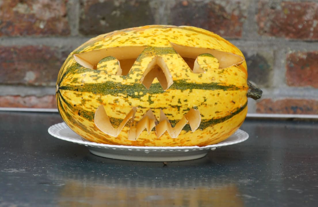 Kürbis vom Küchenchef Landhaus Altes Pastorat