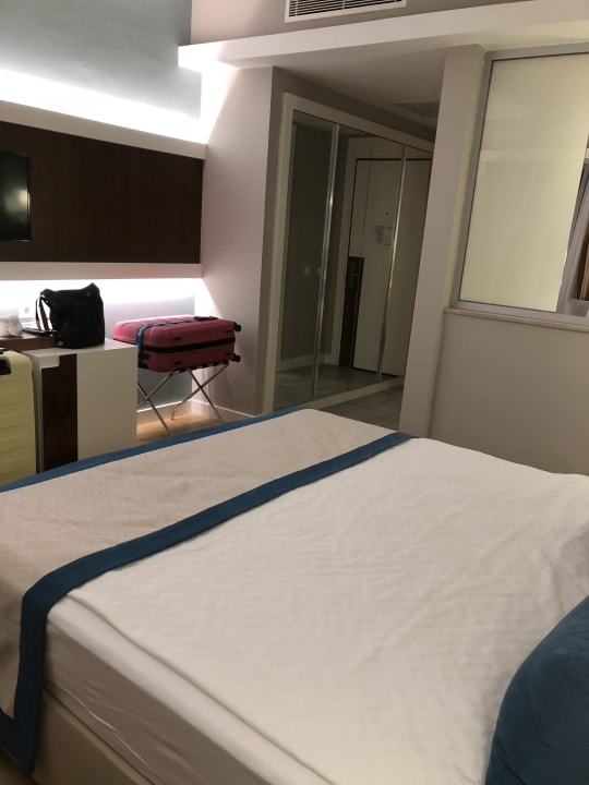 Zimmer Seashell Vega