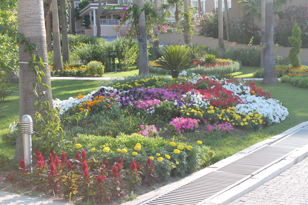 Blumen Club Sidelya Hotel