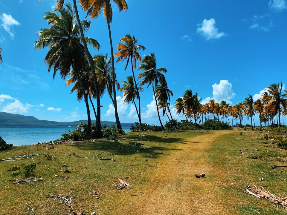 Strand Wyndham Alltra Samana