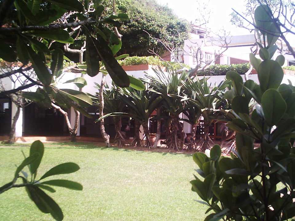 Garten Club Hotel Dolphin