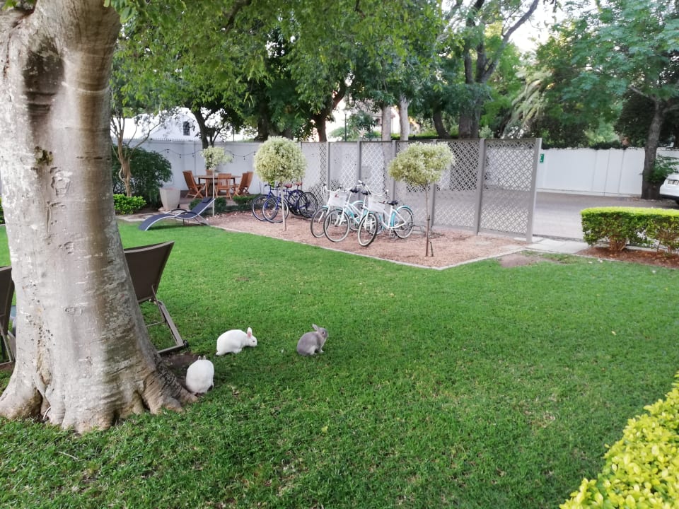 Gartenanlage Summerwood Guest House