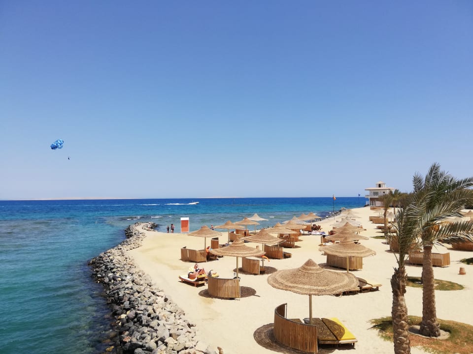 Ausblick Desert Rose